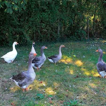 Hotel Le Chene Creux D'hotes Sucé-sur-Erdre