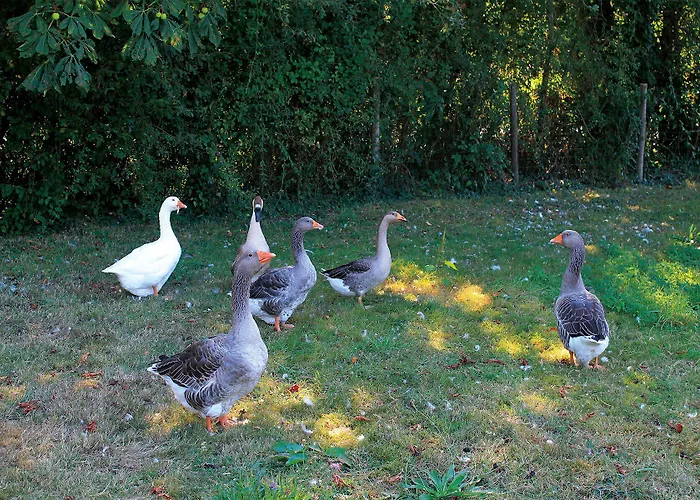 Hotel Le Chene Creux D'hotes Sucé-sur-Erdre